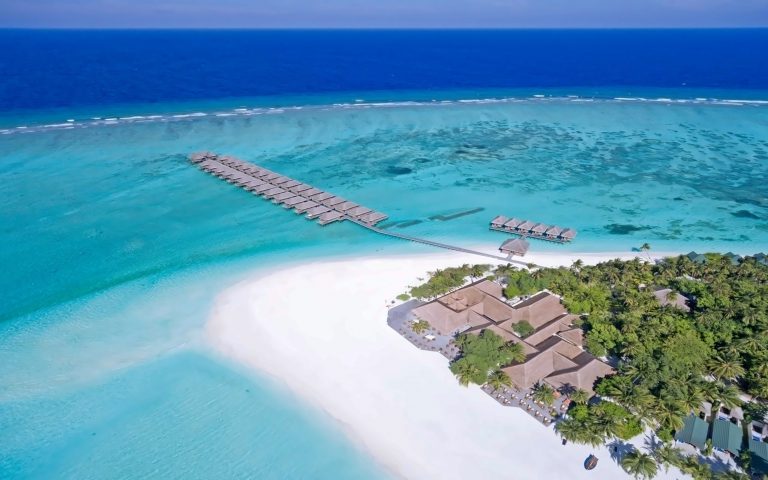 بهشت رویایی در بین نخل های مالدیو